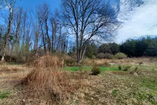 54 Lincoln Laurel Rd, Frelinghuysen Township, NJ 07825 - Photo 31