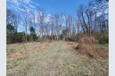 54 Lincoln Laurel Rd, Frelinghuysen Township, NJ 07825 - Photo 29