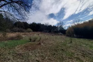 54 Lincoln Laurel Rd, Frelinghuysen Township, NJ 07825 - Photo 23