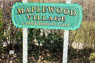 293B Elmwood Ave, Maplewood, NJ 07040 - Photo 13