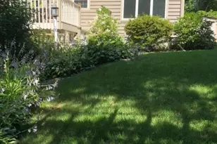 52 Dorothy Dr, Morris Township, NJ 07960 - Photo 41