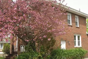 29 W Madison St, Paulsboro, NJ 08066 - Photo 3