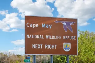 27 S Beach Ave, Cape May Point, NJ 08210 - Photo 49