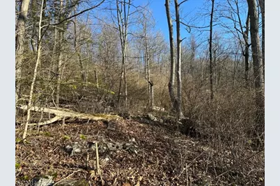 43 Hemlock Ave, Andover Township, NJ 07860 - Photo 7