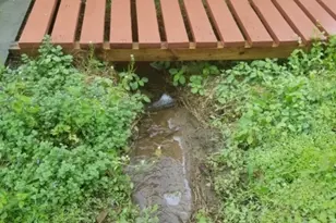 246 Spring Hill Rd, Montgomery Township, NJ 08558 - Photo 39