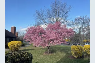 25 Bloomingdale Dr #2C, Hillsborough Township, NJ 08844 - Photo 3