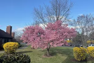 25 Bloomingdale Dr, Hillsborough Township, NJ 08844 - Photo 3