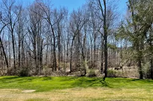 47 Britten Rd, Chatham Township, NJ 07935 - Photo 7