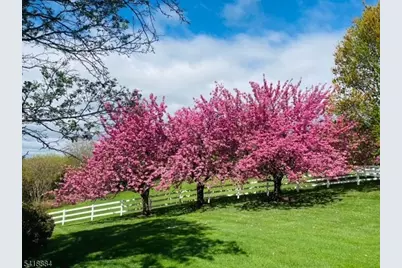 2 Fieldcrest Rd, Chester, NJ 07930 - Photo 47