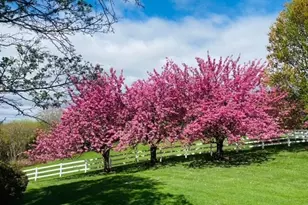 2 Fieldcrest Rd, Chester, NJ 07930 - Photo 47