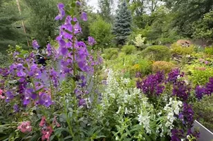 67 Madison St, Long Hill Township, NJ 07933 - Photo 35