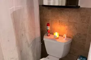 113 Vine St, Roselle, NJ 07203 - Photo 13