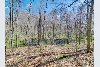 8 Mulberry Ct, Roxbury Township, NJ 07876 - Photo 43