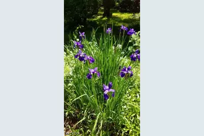 691 Ridgedale Ave, East Hanover Township, NJ 07936 - Photo 33