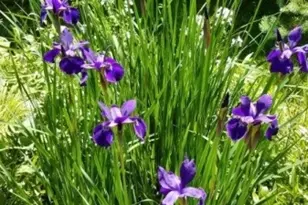 691 Ridgedale Ave, East Hanover Township, NJ 07936 - Photo 33