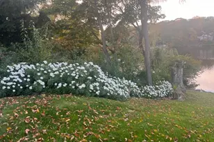 173 Point Breeze Dr, West Milford, NJ 07421 - Photo 43