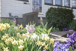 563 Pierson St, Westfield, NJ 07090 - Photo 33