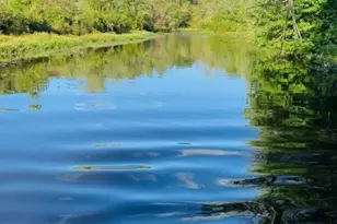 6 Timberwood Ln, Jefferson Township, NJ 07438 - Photo 43