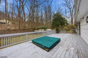 14 Mabro Dr, Denville, NJ 07834 - Photo 45