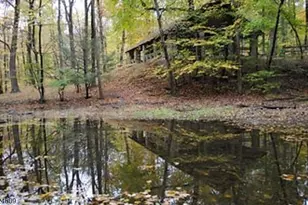 11 Devonald Dr, Bethlehem Township, NJ 08802 - Photo 41