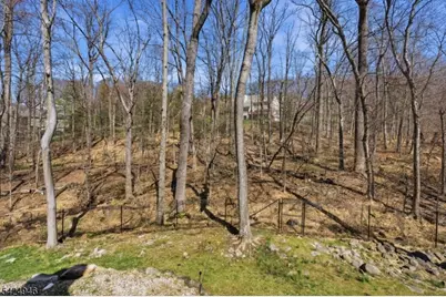 11 Rosewood Lane, Denville, NJ 07834 - Photo 47