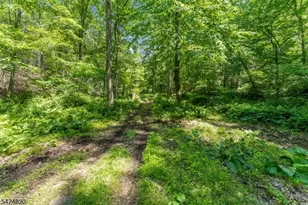 115 Stephensburg Rd, Washington Township, NJ 07865 - Photo 25