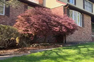 3 Matilda Terrace, Montville Township, NJ 07082 - Photo 35