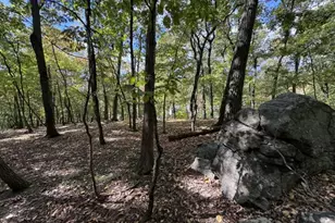 229A White Meadow Rd, Rockaway Township, NJ 07866 - Photo 33