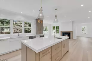 223 Longwood Ave, Chatham Township, NJ 07928 - Photo 11