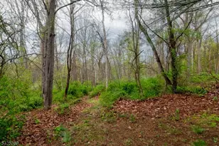 11 Fox Run Rd, Glen Gardner, NJ 08826 - Photo 33