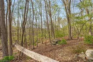 81 Turtleback Rd, Washington Township, NJ 07853 - Photo 39