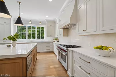 6 Benson Ct, Millburn, NJ 07078 - Photo 13
