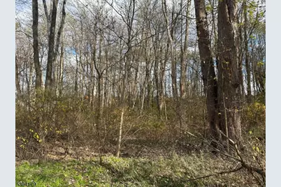 143 Vail Rd, Knowlton Township, NJ 07832 - Photo 5