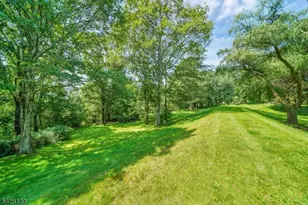 8 Chestnut St, Washington Township, NJ 07853 - Photo 45