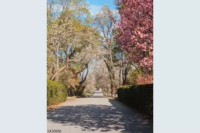 4 Hillcrest Ave, Mendham, NJ 07945 - Photo 47