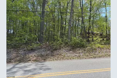 132 Mary Jones Rd, Hampton Township, NJ 07860 - Photo 1