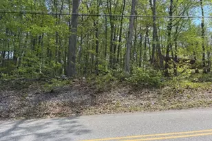 132 Mary Jones Rd, Hampton Township, NJ 07860 - Photo 1