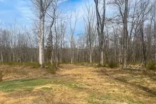 29 Twin Oaks Ln, Harding Township, NJ 07960 - Photo 1