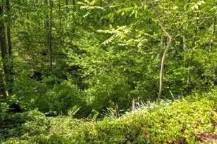 31 Cascade Way, Butler, NJ 07405 - Photo 27