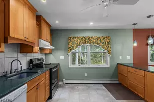 1089 Green Pond Rd, Rockaway Township, NJ 07435 - Photo 5