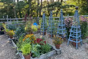 85 Mosle Rd, Peapack Gladstone Boro, NJ 07934 - Photo 47