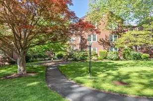 217 Prospect Ave, Cranford Township, NJ 07016 - Photo 21