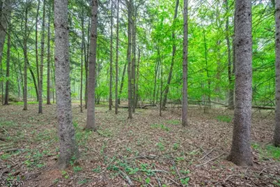 181 Center Grove Rd, Randolph Township, NJ 07869 - Photo 47
