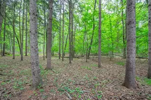 181 Center Grove Rd, Randolph Township, NJ 07869 - Photo 47