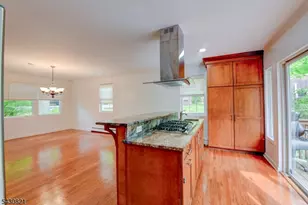 10 Toye St, Randolph Township, NJ 07869 - Photo 9