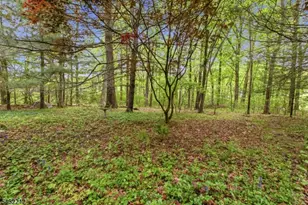 43 Maple Rd, West Milford, NJ 07480 - Photo 25