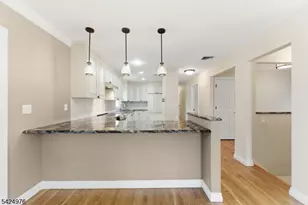 6 Oak Dr, Randolph Township, NJ 07869 - Photo 13