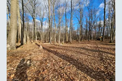 34 Starlight Dr, Morris Township, NJ 07960 - Photo 5