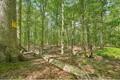 0 Homestead Rd, Long Hill Township, NJ 07933 - Photo 11
