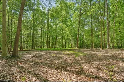 0 Homestead Rd, Long Hill Township, NJ 07933 - Photo 7